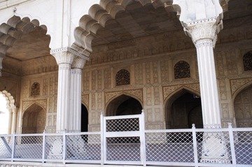 IMGP9557.jpg