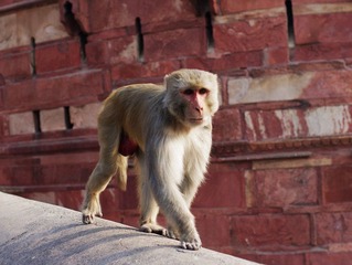 IMGP9491.jpg