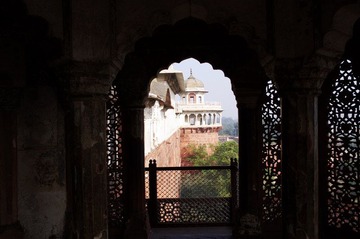 IMGP9529.jpg