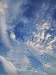 779DBAD1-CF87-4F44-9D82-3C262A60C79E/L0/001