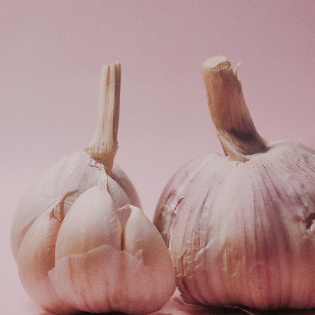 静物摄影之大蒜有内味儿了