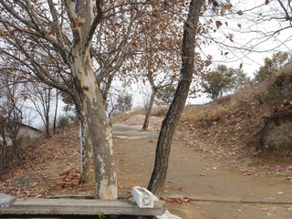 DSC00697.JPG