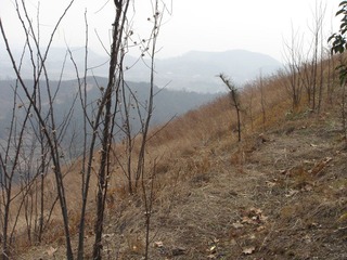 DSC00703.JPG