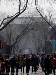 _3254770.jpg