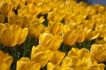 IMG_3210_2.jpg