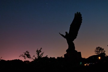 IMG_4040.jpg
