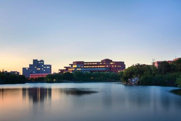 IMG_7875.JPG