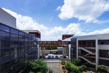 IMG_7982.JPG