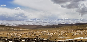 IMG_9462.JPG