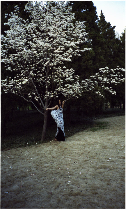 IMG007aab.jpg