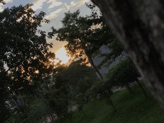 56EDBAFF-F7D7-44C0-842B-57ADA87C80DF/L0/001