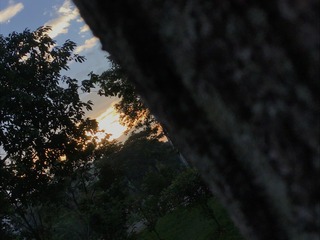 B313275C-DB41-4ED5-89BE-9A1EFE73C278/L0/001