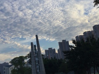 D0A23B54-1435-4744-9F41-35DD25BD51EA/L0/001
