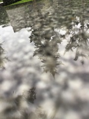 E4B127FF-EE64-4C65-AE80-70427D2206C3/L0/001