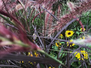 B890BFC3-CB05-4460-B02F-13C569765D63/L0/001
