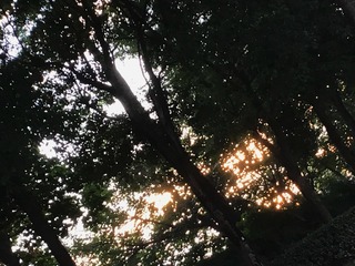 27F58935-C688-4B13-BE44-A806123B5154/L0/001