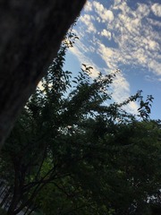 8CEDCBA0-C493-43DA-BA62-1C813EA72139/L0/001