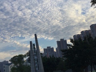 D0A23B54-1435-4744-9F41-35DD25BD51EA/L0/001