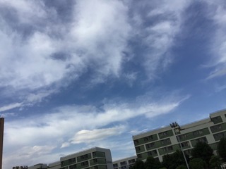 7C67B816-6523-4958-9ED4-79E65296CA78/L0/001