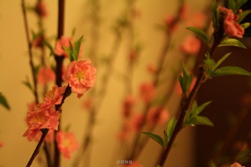 IMG_2091_nEO_IMG.jpg