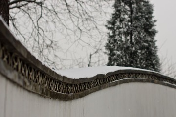 IMGP3142-1.jpg