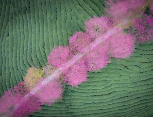 45C8D089-776C-4EB9-9E46-13684731B736/L0/001