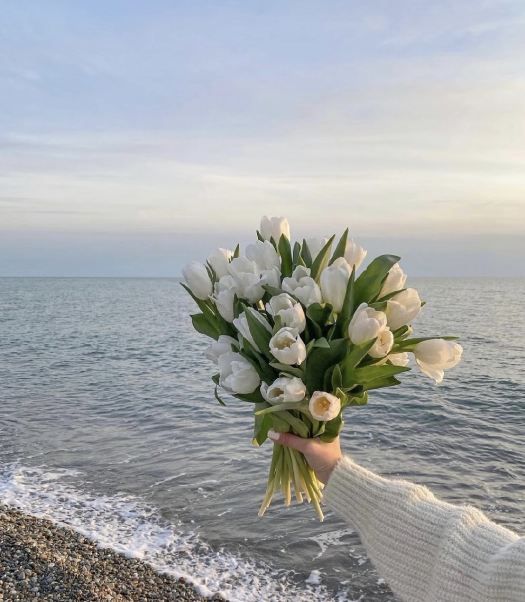 背景图 - 希望你是因为开心去看海,而不是难过去看海~ 67 - 455_gg