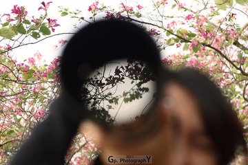 DPP_126.jpg