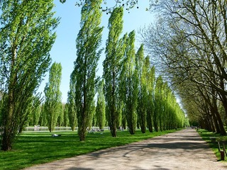 47AAF70C-31A1-4BBB-A1F7-F9FDCAE43F76/L0/001