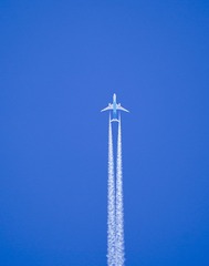 216F32D1-194D-45BD-9C7F-44358C08F1C8/L0/001