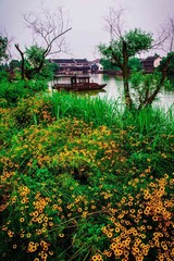 HZH_2349.jpg