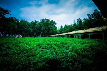 HZH_3473.jpg