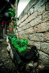 HZH_4656.jpg