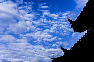 HZH_5162.jpg
