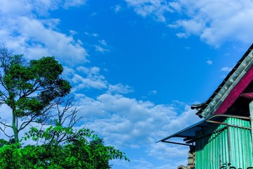 HZH_5193.jpg