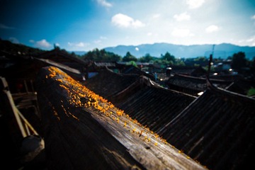 HZH_5441.jpg