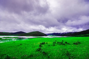 HZH_6515.jpg