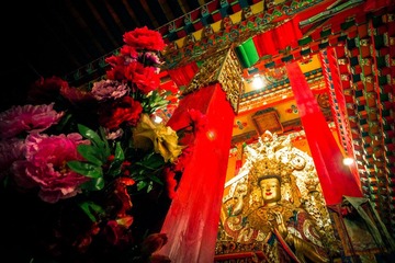 HZH_6728.jpg