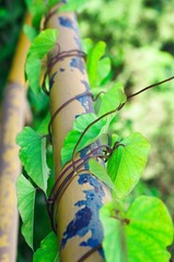 HZH_9857.jpg