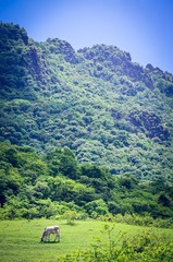 HZH_9885.jpg