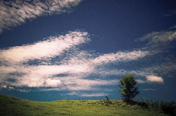 HZH_0191