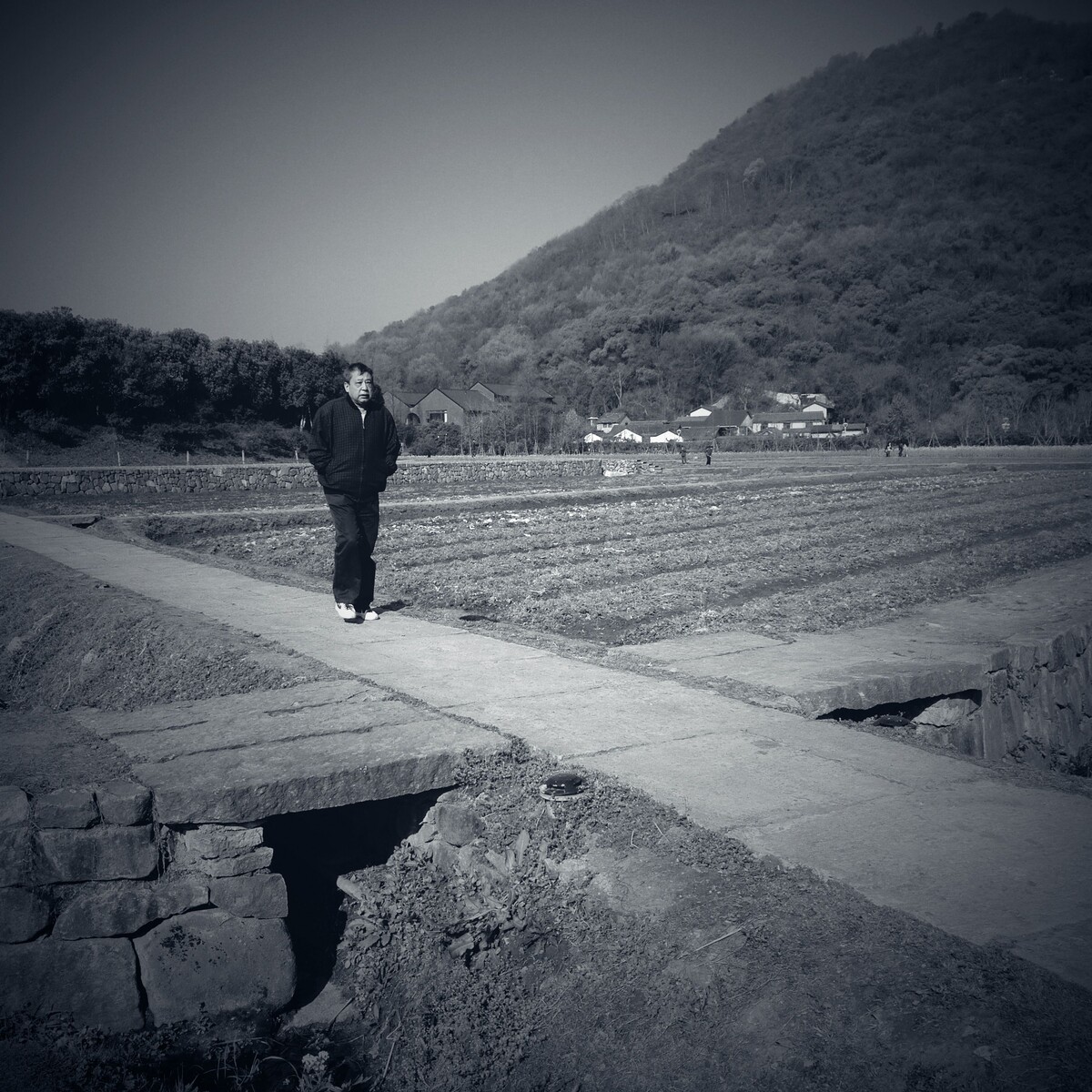 八卦田边