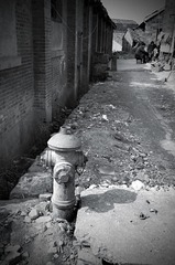DSC08508_bw