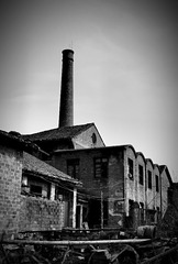 DSC08530_bw