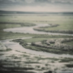 IMGP6860_cl