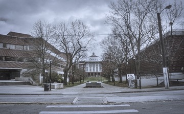 pic08