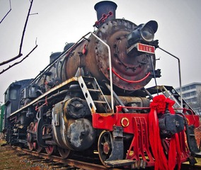 IMGP4562.jpg
