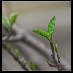 IMGP5482.jpg