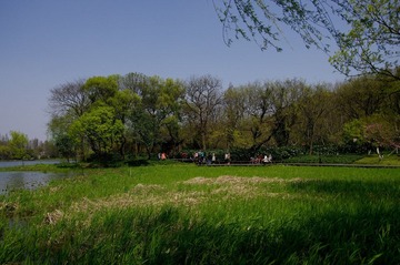 IMGP6076.jpg