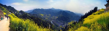 全景图2.jpg